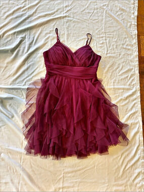 Pear Culture Ruffled Mini Dress in Burgundy women’s Size 13/14